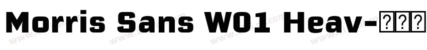 Morris Sans W01 Heav字体转换 Morris Sans W01 Heav字体转换